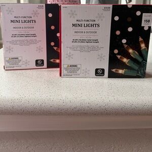 Set of 2 Boxes Clear Multi-Function Mini Lights with Green Wire